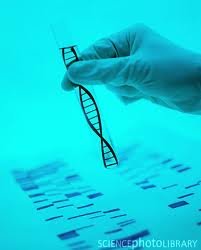 dna-research